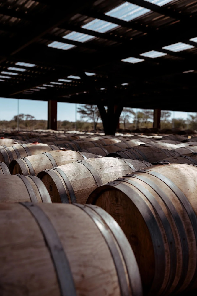 Rows of barrels at Erongo Mountain Winery